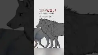 🐺 Wolf vs Dire Wolf &ndash; Who Would Win? 💥 #WolfBattle #animalfacts #animals #facts #direwolf #nature