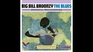 *Jeff* Sings (Big Bill Broonzy) & Charlie Daniels Tune/@carlojameslamanna934 Minnesota 2026