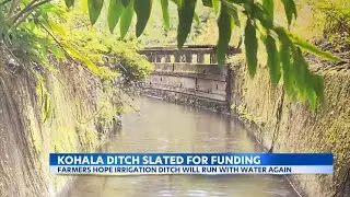 Kohala irrigation ditch slated for funding