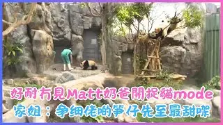 1月19日💖好耐冇見Matt奶爸開捉貓mode～氹兩姊弟擒擒青返工💖家姐：争细佬啲笋仔先至最甜㗎
