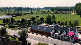 Dam Hoeve - Zaffelare