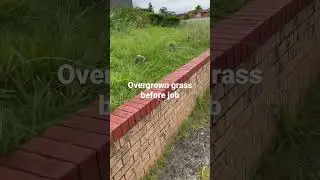 #overgrown #lawn #frontgarden #cleaning #service #gardening #frontyard #satisfying #edge #backyard