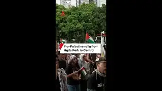 Pro-Palestine rally from Hyde Park to Central
