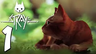 Stray Gameplay Walkthrough - Part 1: STRAY CATS ARE SUPER CUTE and then sad times happen...
