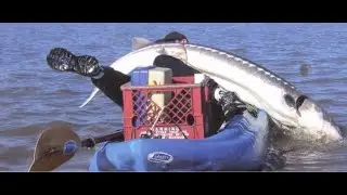 Sturgeon boat captains reveal their tips for hooking the big ones in CA Delta waters