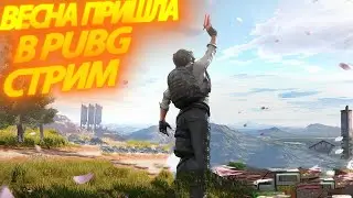 PUBG/ПерчикТВ/PerchikTV , весеннее обострение в пабге