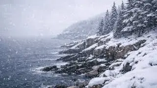 Frozen Acadia Lo-Fi Snowcore Music for the Soul