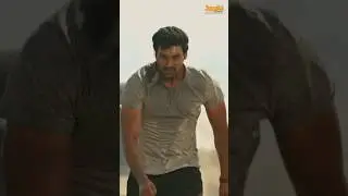 Veede Veede | Video Song | Jaya Janaki Nayaka | Bellamkonda Srinivas | Rakul Preet | DSP