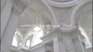 virtual aquarium tour (no talking)