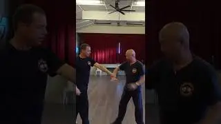 Самооборона #кунгфу #ушуфайт #боевые искусства #самооборона