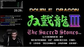 Double Dragon III: The Sacred Stones speedrun in 24:08