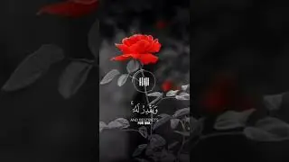 💫 | Allahu yabsutur rizqa limai yasha | Islamic Reminder #IslamicShorts #QuranVerse #RizqFromAllah