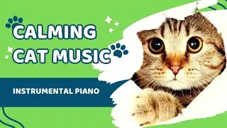 Calming Piano Music For My Pet Cat (Gentle Piano Melodies for Calm and Comfort)