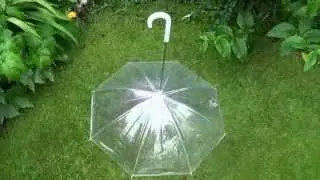 Dog Umbrella