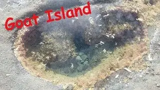 Goat Island Auckland Short Explore
