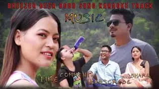 BREEZER BEER McDowell's ROYAL stag | karaoke music | BR Creation