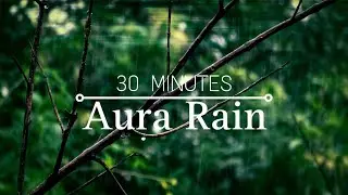 30 Minutes Aura Rain | Relaxing Rain Sounds for Deep Sleep & Study 🌳