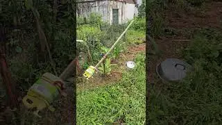 Physical bird repellent device - new application of ancient Chinese wisdom #Traditional Innovation