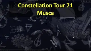Constellation Tour 71-  Musca