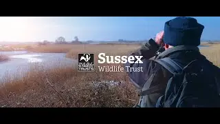RYE Nature Reserve - Wildlife Trust