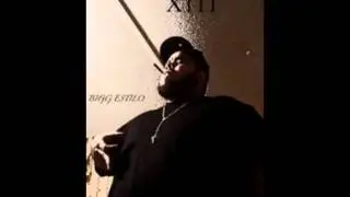 BIGG ESTILO 