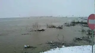 Crisul Alb Varsand.mp4
