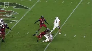 2025 USC vs SC State - Dylan Stewart Big Hit