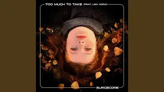Too Much To Take (feat. Lisa Nora)