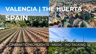 Castell-Palau & Valencia Fields: Cycling to Port Sa Platja