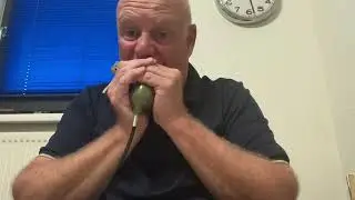 Sound test Shure 520D Bullet Microphone