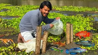 Primitive Bamboo Fishing Full Bag Fishes ❤️🥰