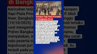 Karapan Sapi Piala Presiden di Bangkalan Ricuh #matalokal