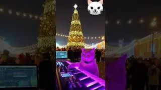 Cat DJ Rocks the Holidays with Epic Dubstep!  #CatDJ #DubstepCat #PetTalent #FunnyPets #funnycats