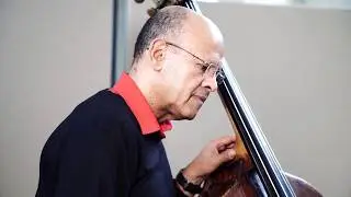 The South African Double Bass