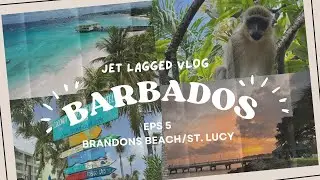 WE GOT DRUNK OFF THE BEST RUM ON EARTH🏴‍☠️🍹🥥 | ST LUCY/BRANDONS, BARBADOS VLOG