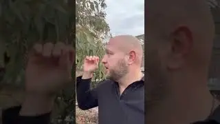 Всегда с свои посылочки клиентам добавляю приятные бонусы &hearts;️улыбки людей - бесценны 🩷🫶