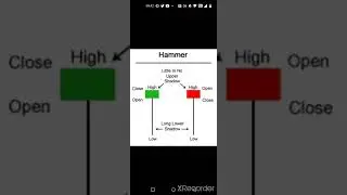 HAMMER PATTERN FORMATION | HAMMER CANDLESTICK PATTERN #short #hammercandlesticks #finance #trading