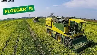 Ploeger BP2000 | Harvest Green Soybean | Raccolta Soia Verde | Agritecnica