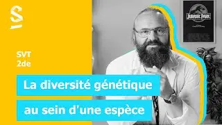 La diversité génétique au sein d'une espèce - SVT - 2de