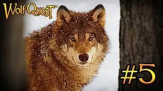 Sunfire's Final Victory | WolfQuest Let's Play - Episode 5