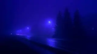 you are safe here...