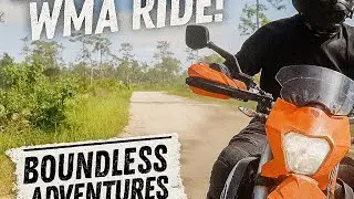 Exploring Bull Creek WMA on My KTM 690 Enduro R