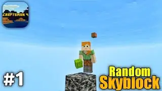 Craftsman 4 But Random Skyblock Items #1