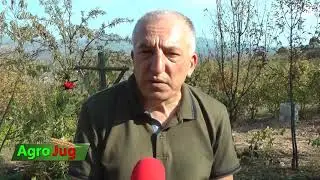 Bo&scaron;ko Stančić, zamenik predsednika op&scaron;tine Vlasotince - UKUSI JUGA