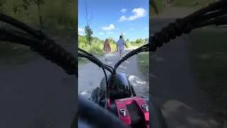 White Pine Trail ride ￼