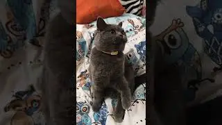 ой, девочки