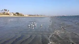Long Beach  California