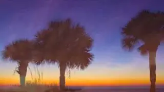 Lonely Looking Sky