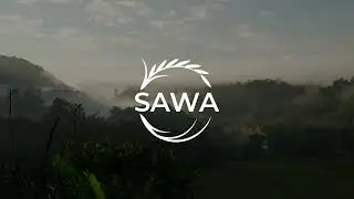 Sawa Eco Solutions - Biochar Soil Improvement