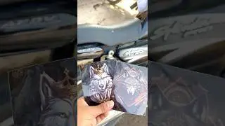 Splendour shocker sticker modify#trending #viralvideo #shortvideo #caraccessories #kulwinderarts